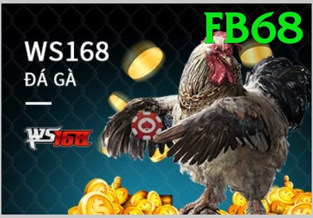 Đá Gà Trực Tiếp - fb68 - Game chiến thuật